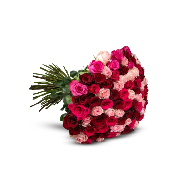 kytice ekvádorských růží